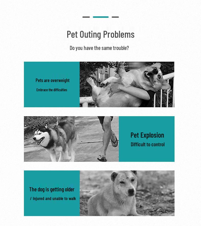 Lightweight, Foldable Pet Stroller for Medium & Large Cats and Dogs, Supports Up To 120 Lbs.