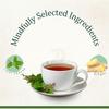 TEA AND TWIGS|Tulsi Ginger Green Tea- 15 Pyramid Tea Bags|100% Pure Ingredients - Tulsi, Ginger & Green Tea|Green Tea|110 Gram