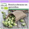 Organic - Brussels Sprout - Groninger - 30 Seeds - Brassica Oleracea