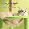 Cactus Cat Tree & Scratcher with Space Capsule