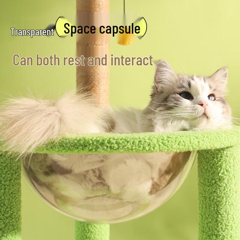 Cactus Cat Tree & Scratcher with Space Capsule