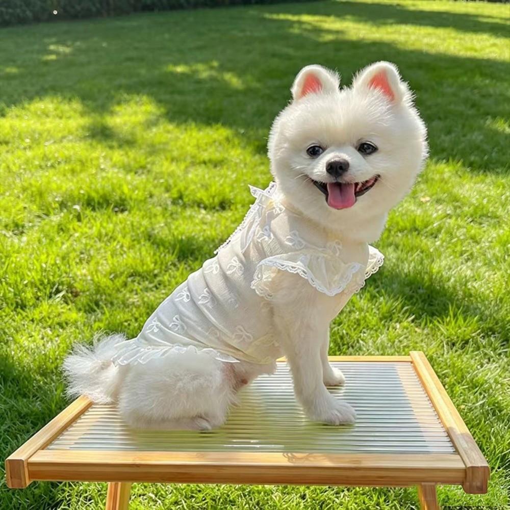 UV Protection Bowknot Decor Pet Clothes Thin Mesh Pet Flying Sleeve T-Shirt Outdoor