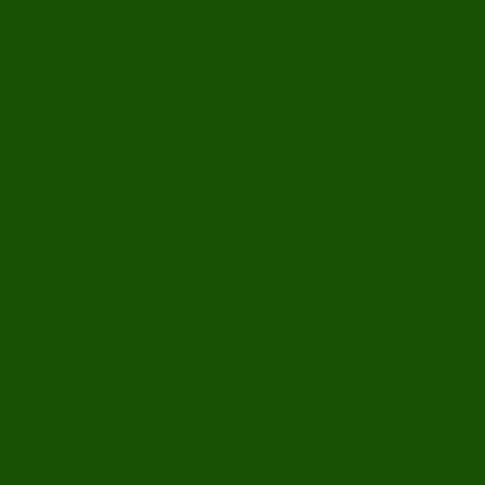 Stylo - Sakura - Pigma Micron 01 - Vert - 0.25 mm - Professionnel