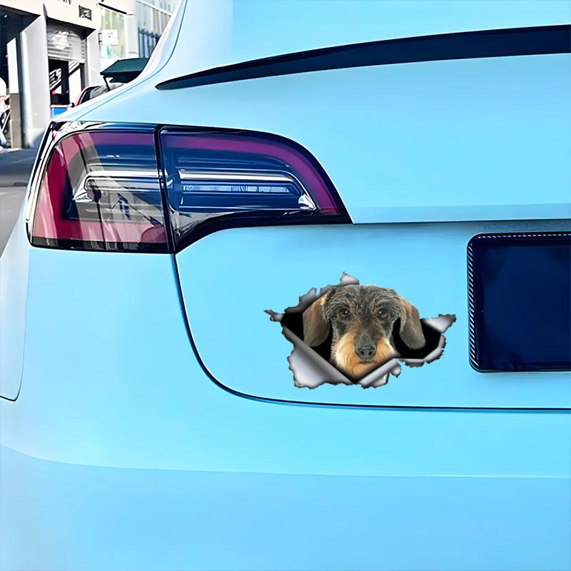 3D Wire Haired Dachshund Car Sticker, Fun Waterproof Sticker for Cars, Trucks, Motorcycles, Walls, Windows, PVC Material