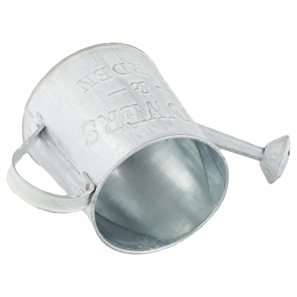 Fitment Iron Vintage Design Watering Can Flower Pots