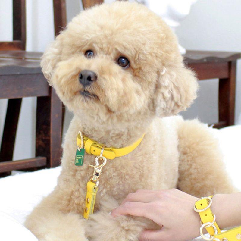 MAISON DE MIU Hands-Free Link Earth Full Set (Leash/Leash/Wrist Strap) Yellow