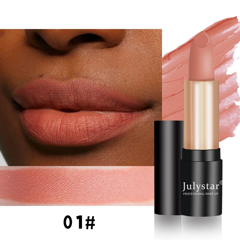 Макияж Губная помада Матовый цвет Не выцветает Не окунаемая губная помада