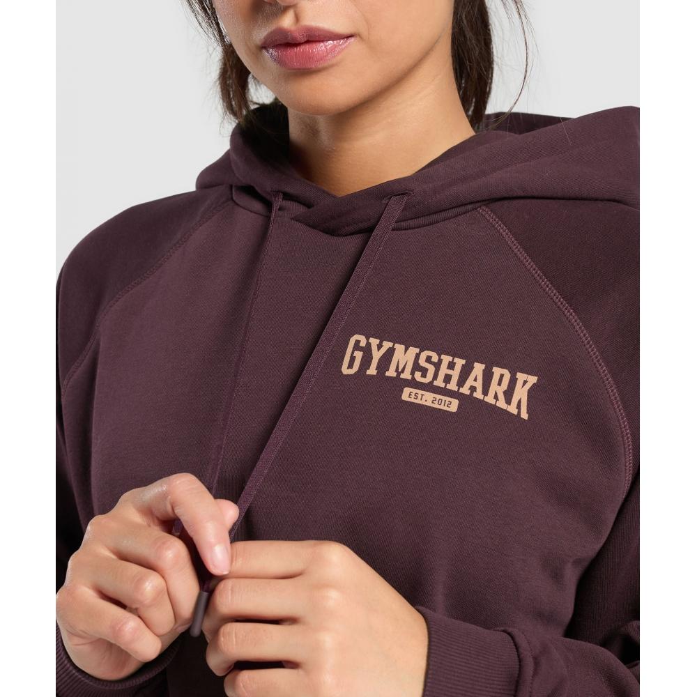 Gymshark Collegiate Lifestyle Hoodie Depth Purple B2c1c Pbzv