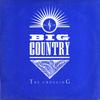 LP Record BIG COUNTRY  The Crossing VOG13325 Vertigo 1983 Canada Rock Used