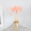 Bunny Tail Grass Dried Flower Bouquet - DIY Living Room Decoration
