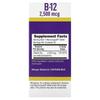 Methylcobalamin B-12, 2,500Mcg, 90 Instant Dissolve Tablets