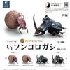 Коллекция Animalier 1 1 Коллекция Animalier Навозный жук 1 коробка 4 шт Переиздание