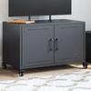 VidaXL TV Stand, Television Cabinet with Doors, TV Stand with Storage Living Room, Anthracite 846640
