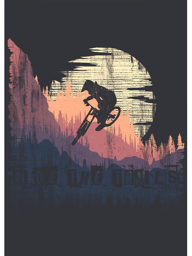 Винтажные плакаты с горным велосипедом, печать на холсте, картина для любителей спорта, настенная художественная картина для гостиной, украшение дома