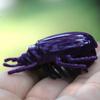 Fashion Pet Insect Cicada Beetle Simulation Cute Cat Toys Mini Auto Walking Insect Teaser Interactive 1pc New Electric