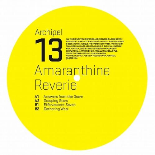12-дюймовая пластинка JESSE SOMFAY Amaranthine Reverie ARCHPL013 Archipel 2008 Канада Танцевальная Электроника Б/у