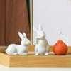 Cute Bunny Statue Simple Rabbit Model Micro Landscape Animal Sculpture  Cabinet