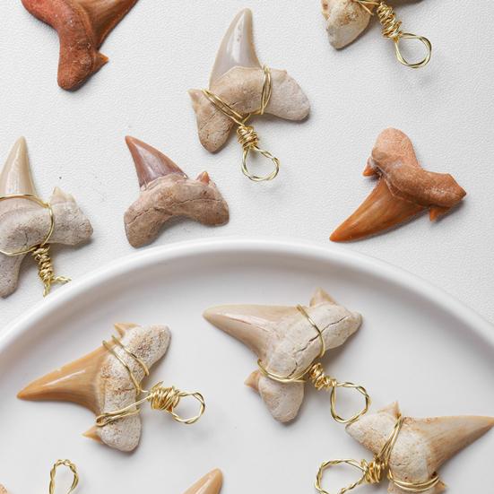 Привлекательное ожерелье Тонкая работа Сплав Подвеска в форме зуба акулы Ожерелье для повседневной носки