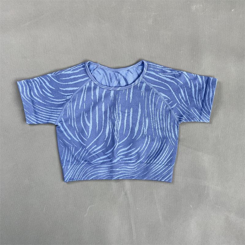 «Новый бесшовный европейский и американский фитнес-комплект: Топ с коротким рукавом, штаны для йоги, спортивный бюстгальтер для женщин.