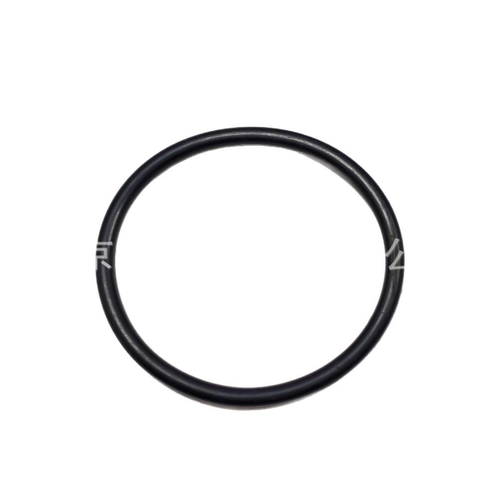 BMW 3 Series E46 X5 M54 Water Pump Seal Ring 11511711484