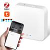 Tuya Graffiti Smart Home Zigbee/Bluetooth Gateway with Central Remote Voice Control