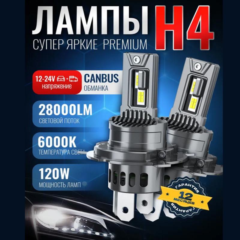 2PCS 28000LM H7 H4 H11 9005 LED Bulb Fog Lights Canbus No Error 6000K White  DRL Daytime Running Car Lamp 12V 1:1 Size