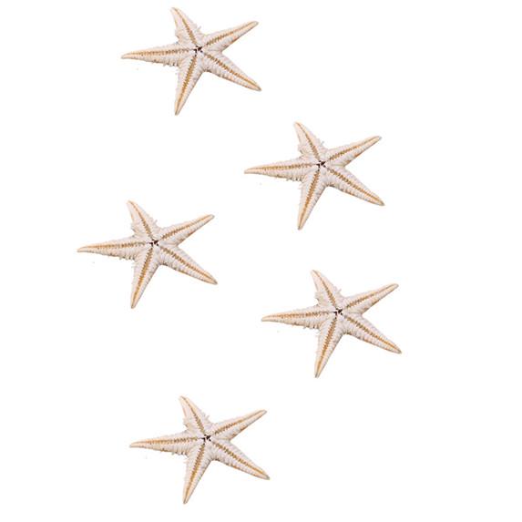 100 Pcs/package Shell Starfish Home Decoration Micro Landscape Craft Accessories
