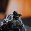 1 шт. Миниатюрная фигурка Крутого Воина Кунг-фу Черно-белая Настольное украшение Мини-украшения Украшение для растений