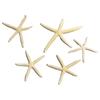 Fish Tank Starfish Decor Unique Beautiful Starfish Ornament Set for Home Aquarium DIY Photo Frame