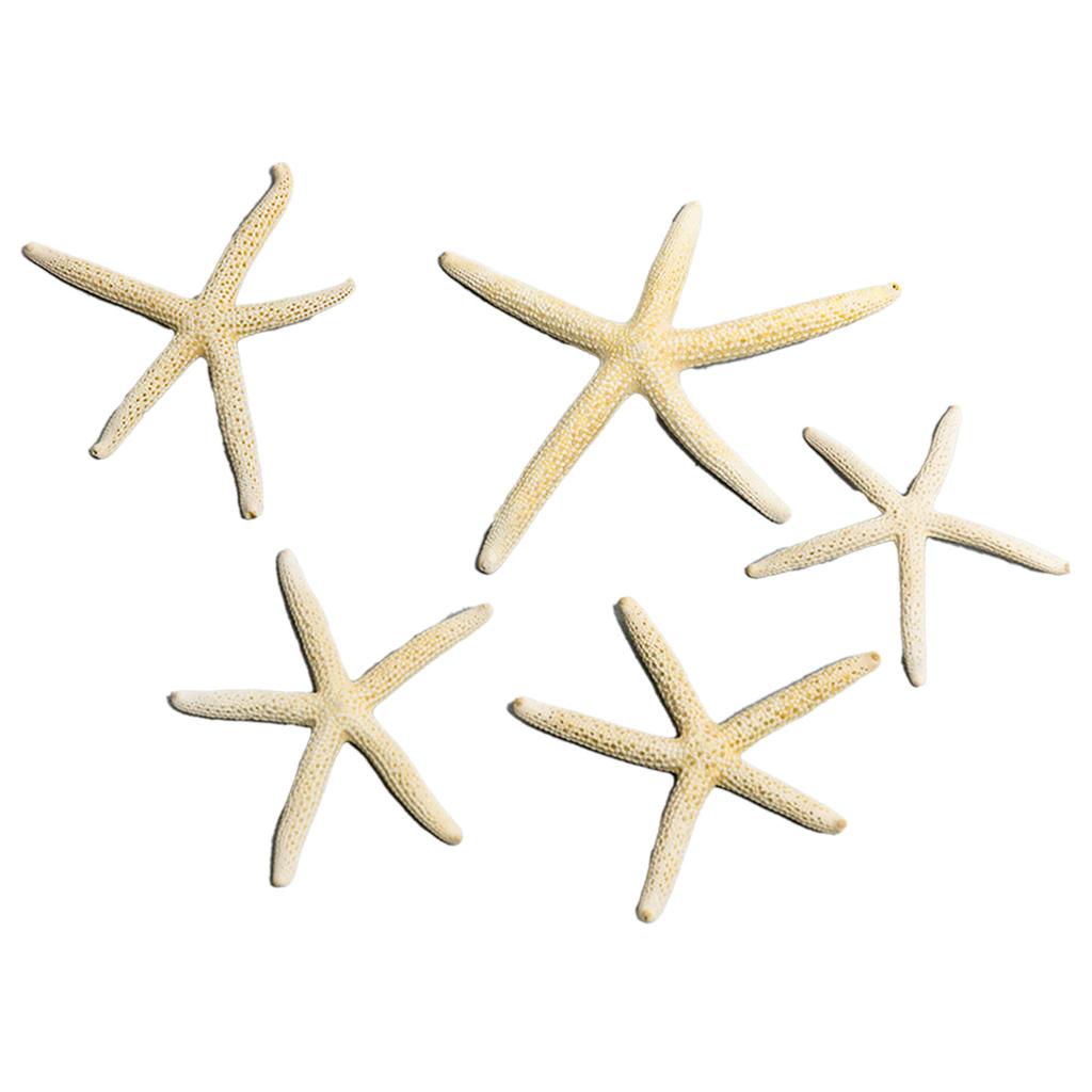 Fish Tank Starfish Decor Unique Beautiful Starfish Ornament Set for Home Aquarium DIY Photo Frame