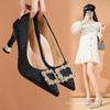 2025 New Pointed Rhinestone Square Buckle High Heel Thick Heel Single Shoes Women's Doudou Shoes Internet Celebrity Shallow Mouth Evening Wind Wome
