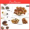 Realistic Mushroom Set Featuring Edible Shiitake Enoki Matsutake Poisonous Umbrella Decorative Models Ideal For Home Display