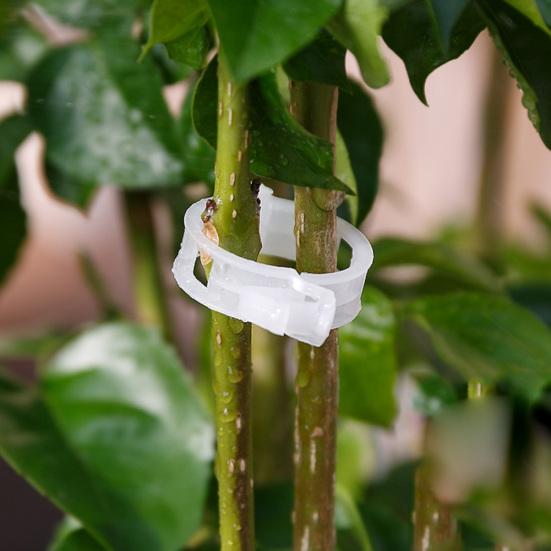 50Pcs Plastic Vine Plants Vegetables Support Clip Garden Greenhouse Holder Tool