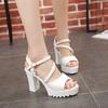 Shoes for Women Summer Fashion Women Platform Sandals High Heels Peep Toe Buckle Strap Non-slip Sandalias De Mujer 35-40