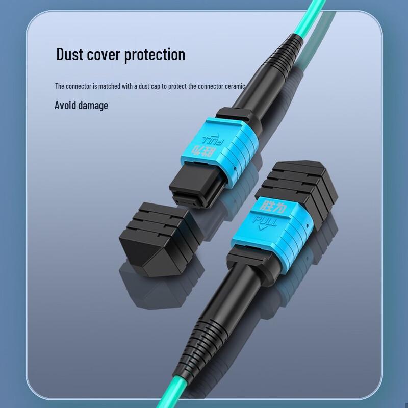 Innovate Shengwei MPO-MPO Female 12-Core OM4 40G Fiber Optic Patch Cable
