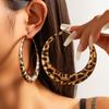 Earrings Design Sense Geometric Metal Circle Earrings Female Exaggerated Spice Girl Leopard Print Big Earrings