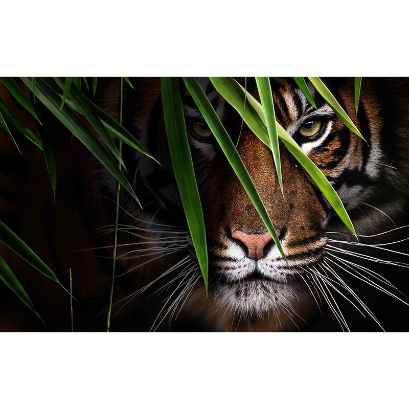 3D Photo Wallpaper Tiger Poster Wall Painting Living Room Entrance Bedroom Background Wall Art Animal Mural Wall Covering
