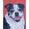 5D Алмазная вышивка собака полная круглая квадратная алмазная живопись животное полная квадратная смола дисплей изображение страз домашний подарок