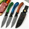 Кухонный нож из дамасской стали с полным хвостовиком, ручной ковки, нож для фруктов с ножнами, универсальный нож, резак