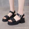 Fairy Wind Thick Heel Sandals Female Outer Wear Summer 2024 New Small Thick Sole Word with Fashion Beach Shoes