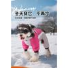 Новая осенне-зимняя одежда для собак Щенячья четырехногая хлопковая одежда Наружный светоотражающий ремень Поводок Защита от холода Собака