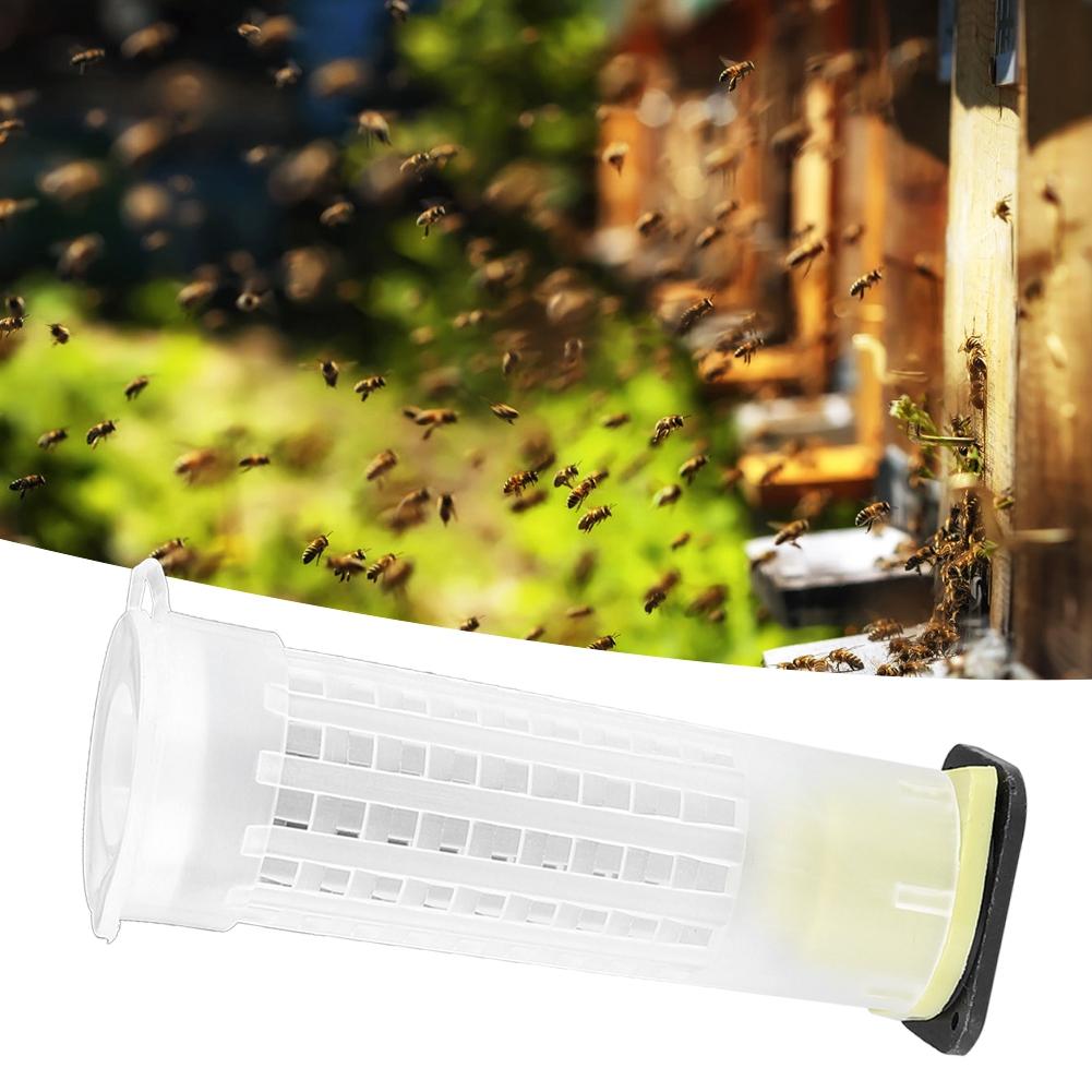 15PCS Plastic Bee Queen Rearing Cages Anti Bite Protector Beekeeping Equipment Insect Tool