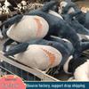 Big Shark Plush Pillow: Cute Sleeping Doll & Birthday Gift for Girls