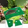 Artificial Grass Ramp And Ladder Setup for Tortoise Resting Area