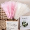3pack/lot Space Artificial Pampas Reed For Chic And Non-shedding Home Decor Artificial Flower