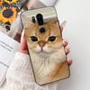 Чехол для LG G7 ThinQ Милый Кот Роскошный Расписной Чехол Мягкий Тонкий Чехол для Телефона Для LG G7 ThinQ G7Thinq LM-G710 G710 G7+ Задняя Крышка Сумки