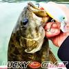 LUCKY CRAFT Pointer 128 Рыболовная приманка Воблер (276 Радужная форель)