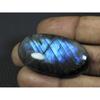 81Cts. Natural Labradorite Blue Fire Oval Cabochon Loose Gemstone 24X42X08MM B-12