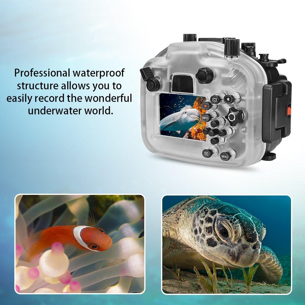 EOS M5 Sea Frog для подводного бокса для камеры (18-55мм) 40м/130футов