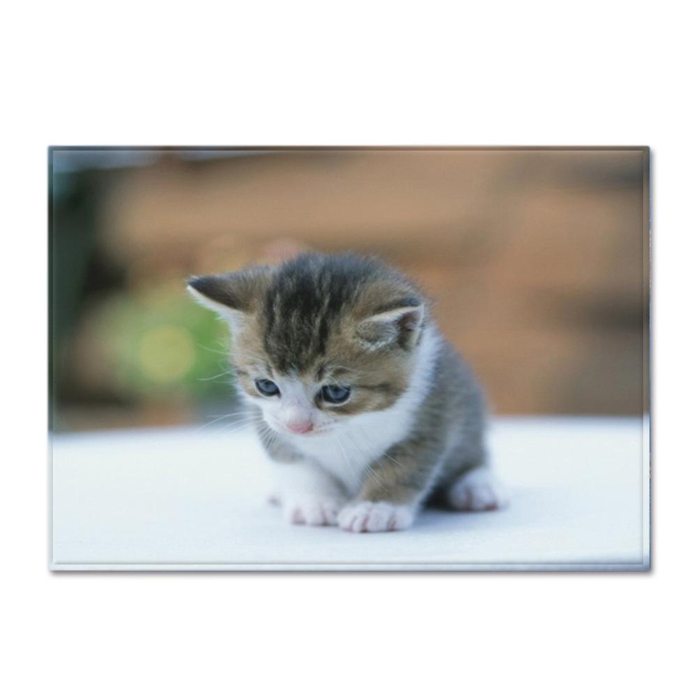 Animal Large Carpet Feather Wind Bedroom Floor Mat